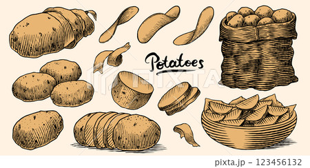 Potatoes and plant hand drawn. Collection of vegetables and chips in a dish and full sack of fresh 123456132