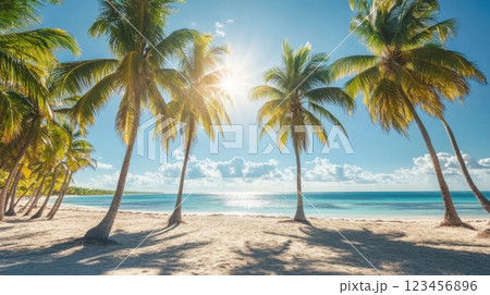 A beach with palm trees and a clear blue ocean A beach with palm trees and a clear blue ocean 123456896