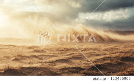 A sandy beach with a large wave of sand blowing in the wind 123456906