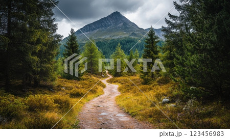 A path winds through a forest with a mountain in the background 123456983