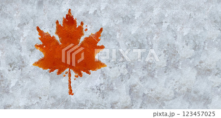 Canadian Maple Syrup 123457025