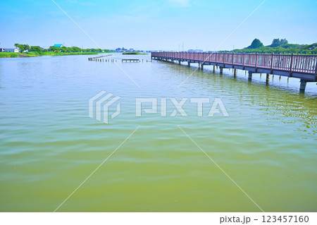 初夏 水量たっぷりの伊佐沼 7月湖畔の風景 初夏 水量たっぷりの伊佐沼 7月湖畔の風景 123457160