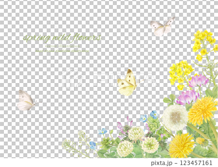 水彩手書きの春の草花で飾った背景フレーム 123457161