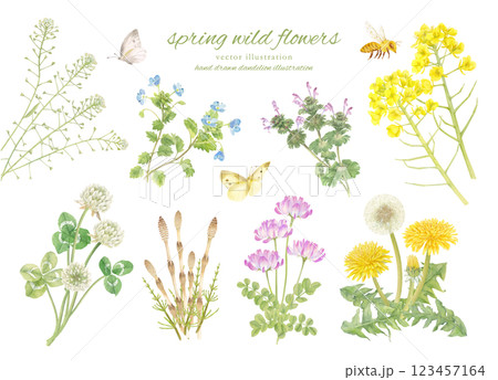 水彩手書きの春の草花と昆虫のカットイラスト 123457164