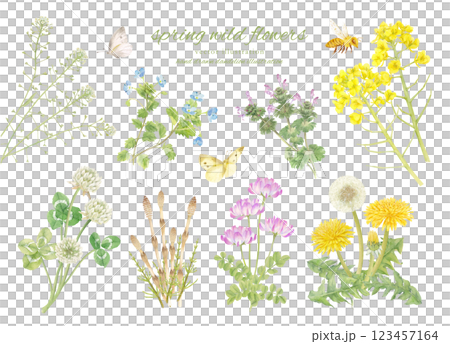 春天的花朵和昆蟲的水彩手繪插圖 123457164