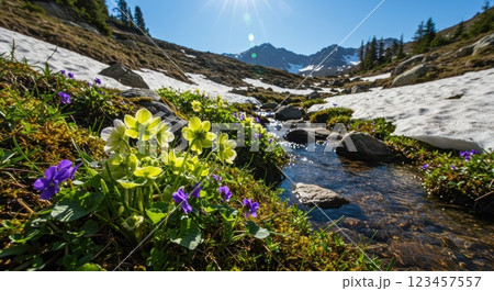 春の雪解けと小川と 123457557