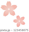 淡いピンクの桜 123458075