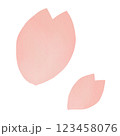 淡いピンクの桜の花びら 123458076