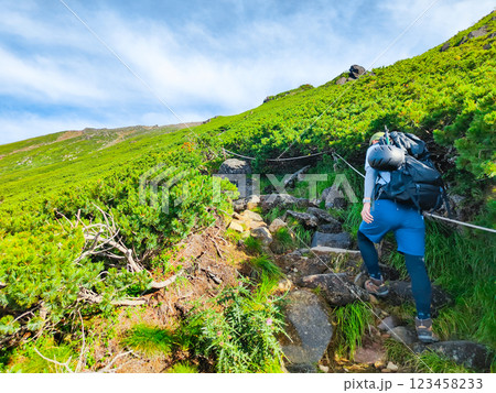 夏の御嶽山登山(王滝口登山道) 夏の御嶽山登山(王滝口登山道) 123458233