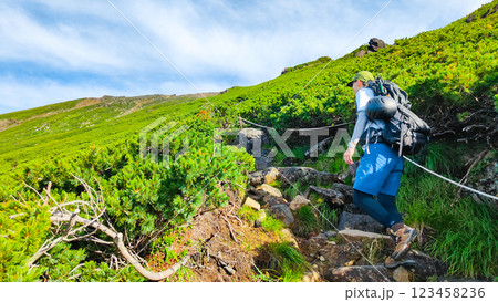 夏の御嶽山登山(王滝口登山道) 夏の御嶽山登山(王滝口登山道) 123458236
