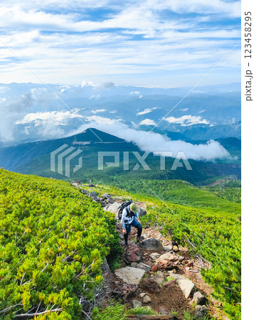 夏の御嶽山登山:王滝口登山道 夏の御嶽山登山:王滝口登山道 123458295