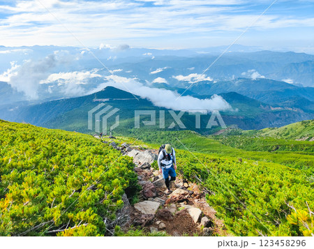 夏の御嶽山登山：王滝口登山道 123458296