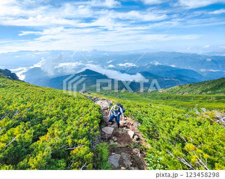 夏の御嶽山登山：王滝口登山道 123458298