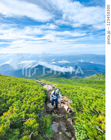 夏の御嶽山登山：王滝口登山道 123458300
