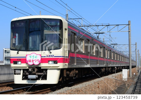 京王8000系　8714F　梅まつりヘッドマーク付 123458739