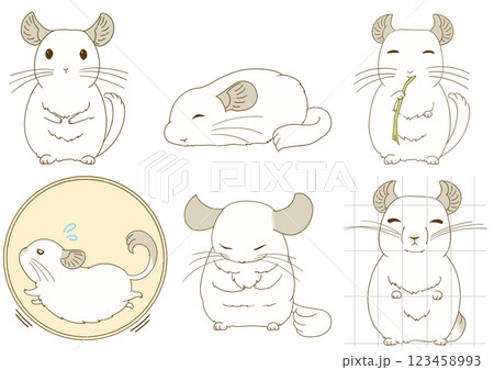 チンチライラストセット(ホワイト) 123458993