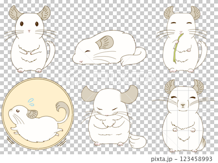 チンチライラストセット(ホワイト) 123458993