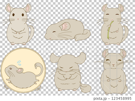 Chinchilla illustration set (beige) Chinchilla illustration set (beige) 123458995