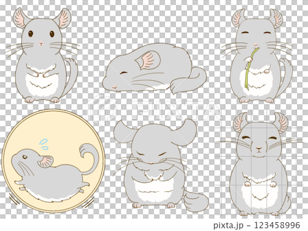 Chinchilla illustration set (gray) Chinchilla illustration set (gray) 123458996