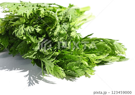 しゅんぎく(春菊) しゅんぎく(春菊) 123459000