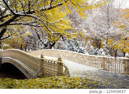 Red wooden bridge into the autumn forest. Red wooden bridge into the autumn forest. 123459037