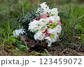 Bridal bouquet on a tree stump in nature 123459072