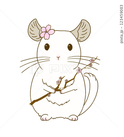 桜の枝を持ったチンチラ(ホワイト) 123459083