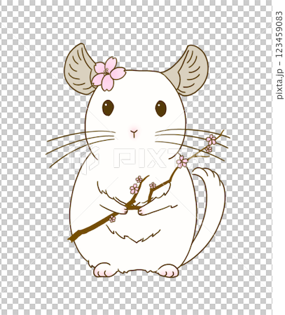 桜の枝を持ったチンチラ(ホワイト) 123459083