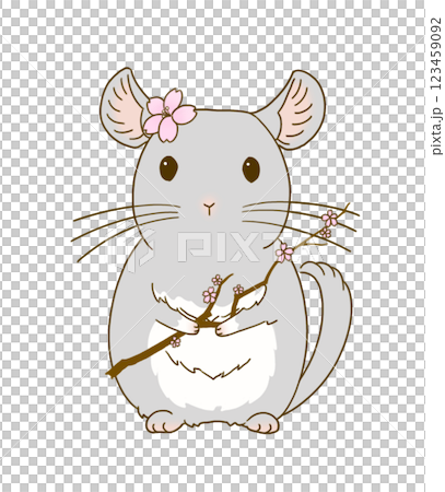 栗鼠（灰色）叼著櫻花枝 123459092