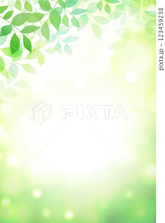 新緑の葉が茂る 123459238