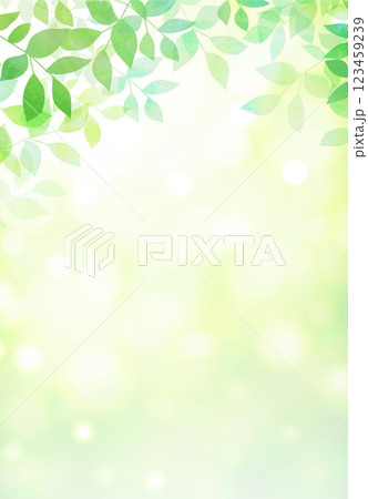 新緑の葉が茂る 123459239
