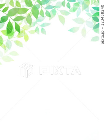 新緑の葉が茂る 123459240