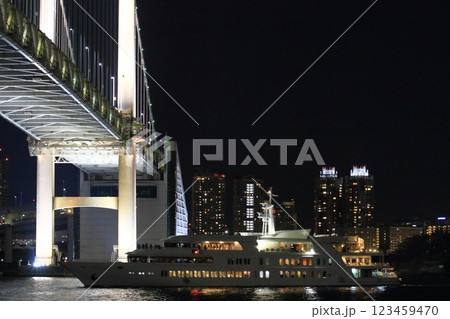 ライトアップされたレインボーブリッジ　湾岸エリアの夜景 123459470