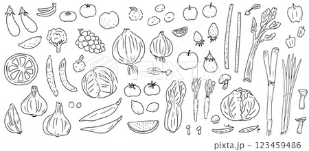 野菜と果物の手書きベクターイラストセット。農作物の線画アイコン。 123459486