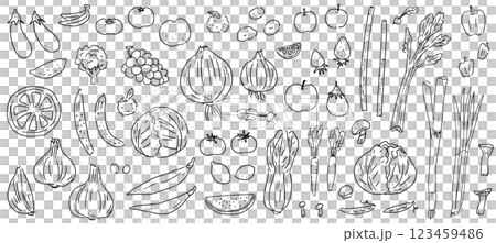 野菜と果物の手書きベクターイラストセット。農作物の線画アイコン。 123459486