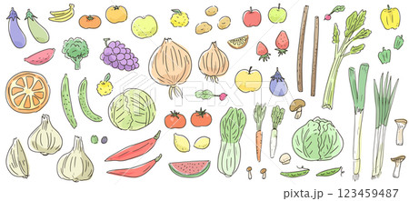 野菜と果物の手書きベクターイラストセット。農作物の水彩風線画アイコン。 123459487