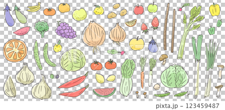 野菜と果物の手書きベクターイラストセット。農作物の水彩風線画アイコン。 123459487