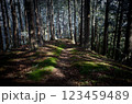 冬の登山道 123459489