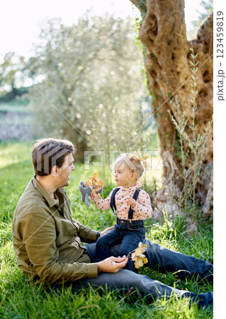 Little girl sits on her dad lap with a yellow branch in her hand and leaves in her hair 123459819
