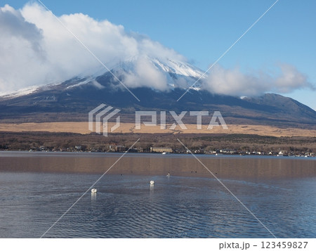 山中湖から見た冬の晴れた空と富士山 山中湖から見た冬の晴れた空と富士山 123459827