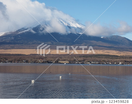 山中湖から見た冬の晴れた空と富士山 山中湖から見た冬の晴れた空と富士山 123459828