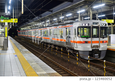 岐阜駅 JR東海 313系  岐阜駅 JR東海 313系  123460052