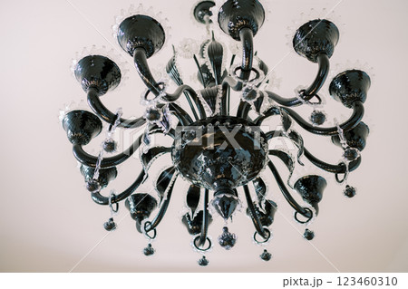 Black chandelier with white glass decor and pendants hangs on the ceiling Black chandelier with white glass decor and pendants hangs on the ceiling 123460310