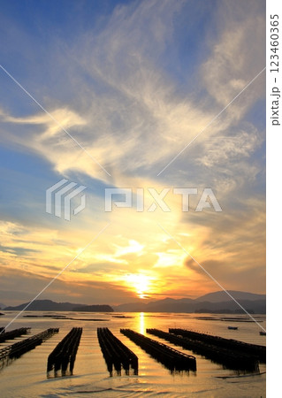 広島らしい瀬戸内風景 123460365