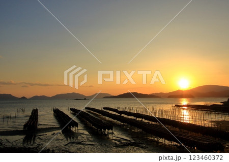 夕暮れ時の瀬戸内海に浮かびあがるホボロ島 牡蠣抑制棚 123460372