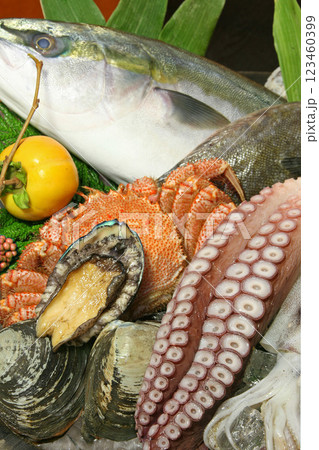 北海道海の幸イメージ 新鮮魚介 北海道海の幸イメージ 新鮮魚介 123460399