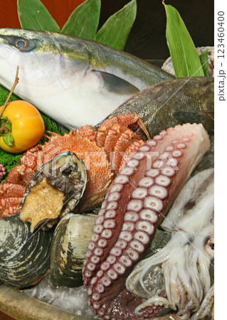 北海道海の幸イメージ　新鮮魚介 123460400