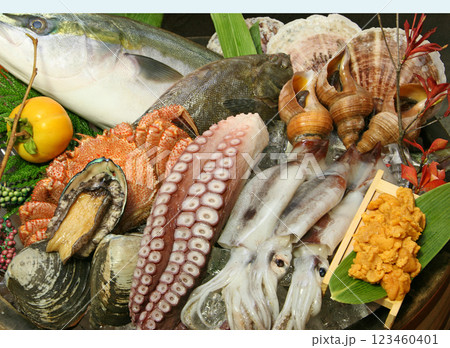 北海道海の幸イメージ　新鮮魚介 123460401