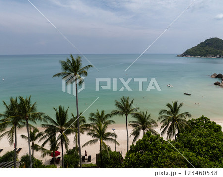 Palm trees on a white sand beach with turquoise water and a calm horizon under a cloudy sky. Ko Pha Ngan, Thailand. 123460538