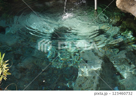 トルコ パムッカレ ヒエラポリス遺跡のアンティークプール トルコ パムッカレ ヒエラポリス遺跡のアンティークプール 123460732